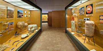 Museu comarcal de l'Urgell-Tàrrega